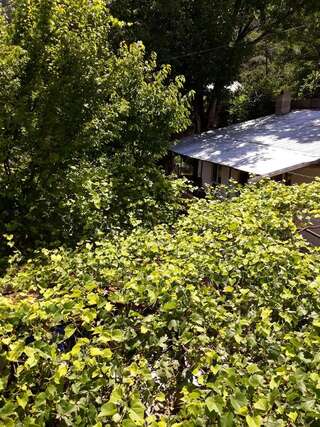 Гостевой дом Weekend House Боржоми-7